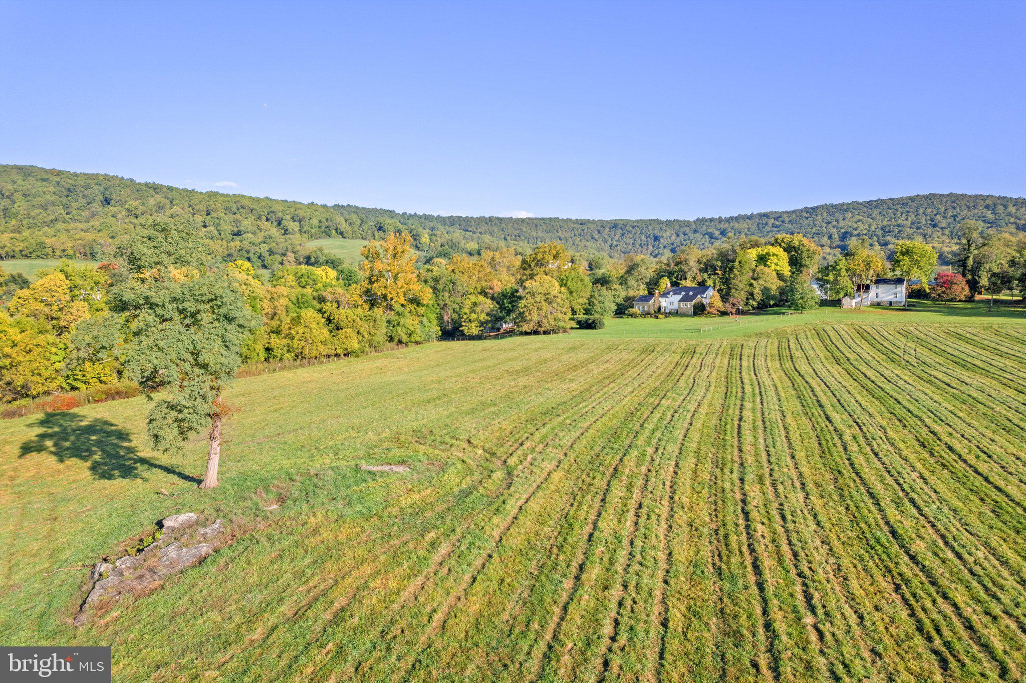 20532 Trappe Road Upperville, VA 20184 - Photo 43 of 63 View of the open field towards the houses.