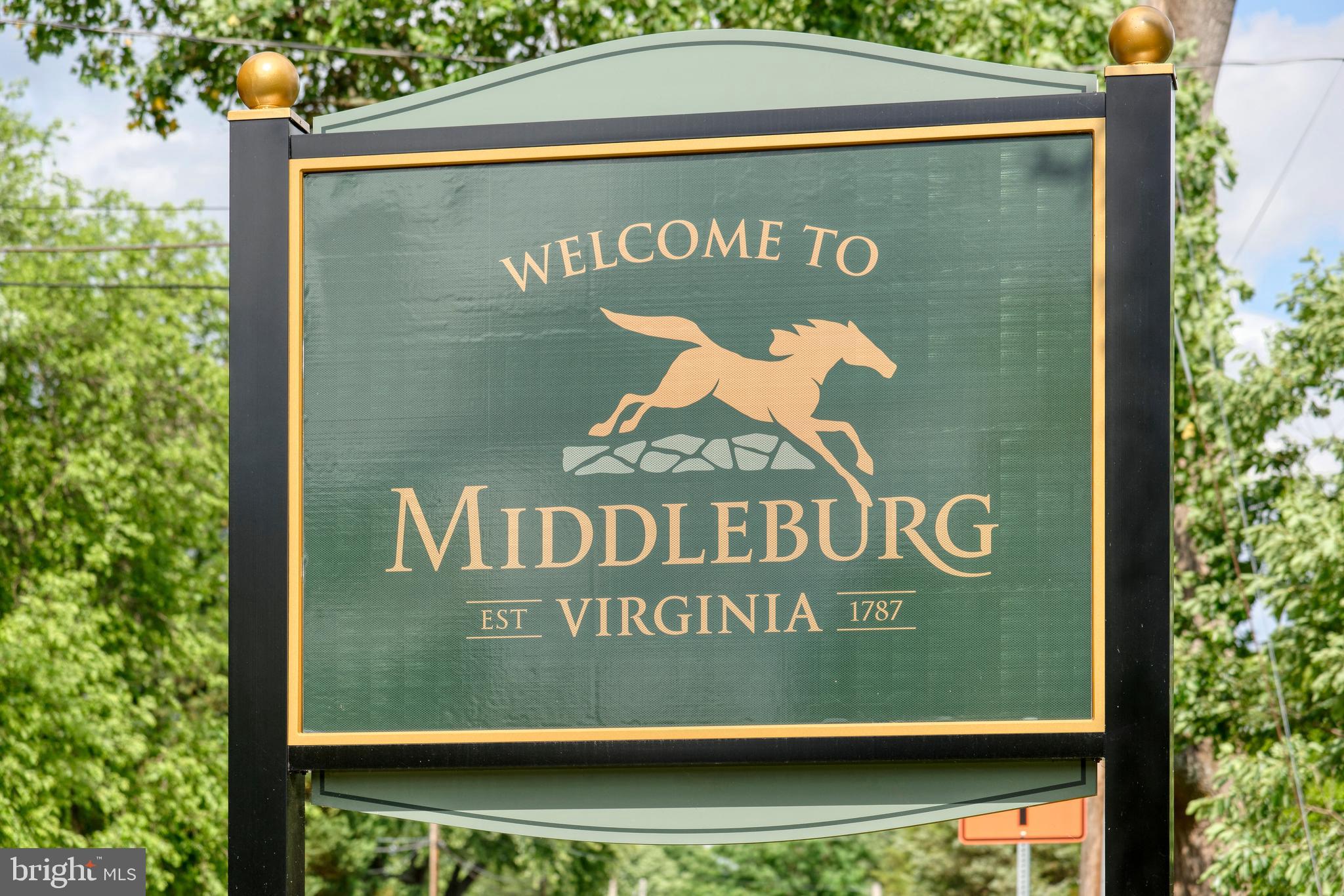 20532 Trappe Road Upperville, VA 20184 - Photo 54 of 63 The village of Middleburg is only minutes away...