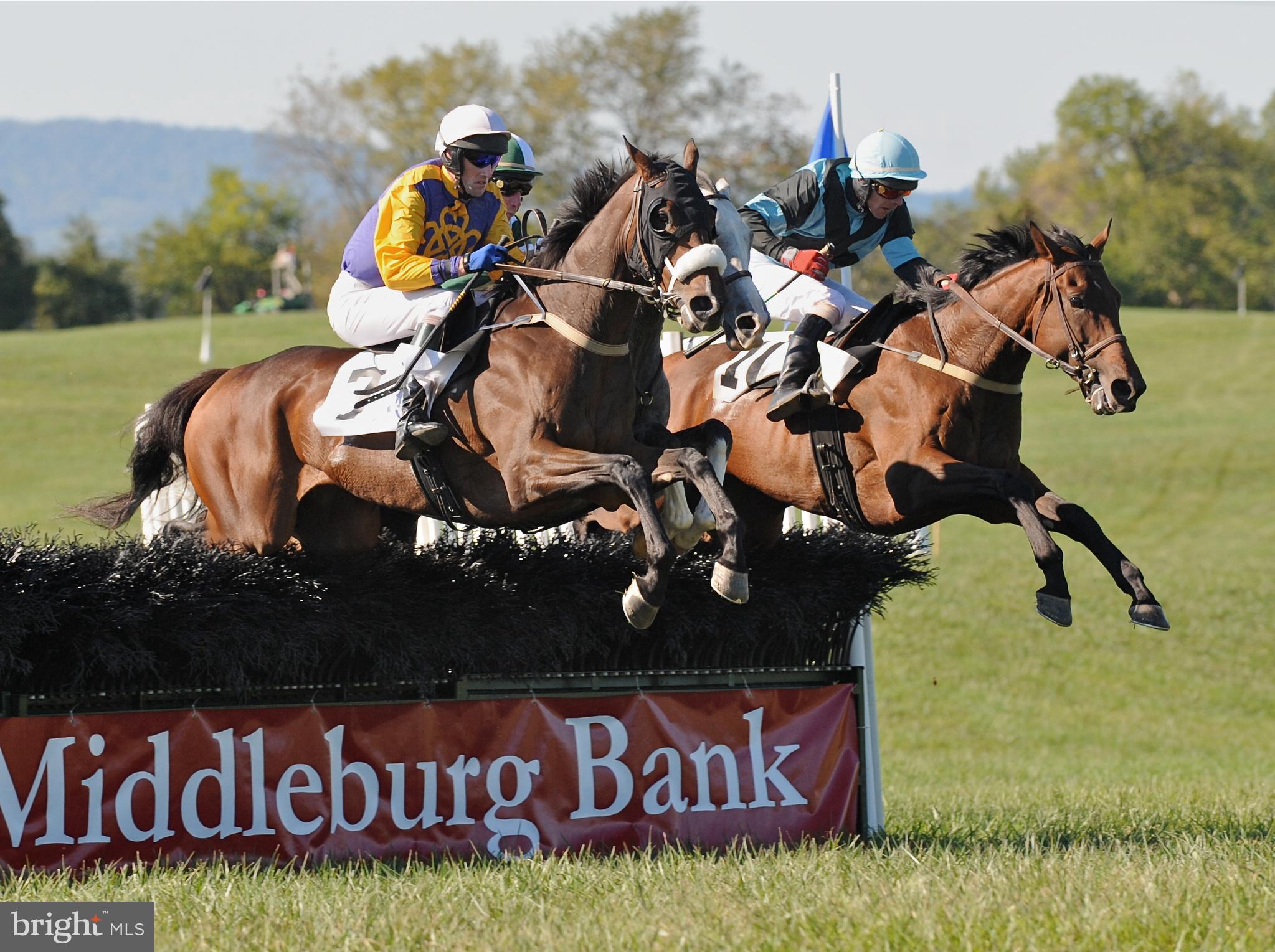 20532 Trappe Road Upperville, VA 20184 - Photo 60 of 63 Watch the local spring & fall jump races