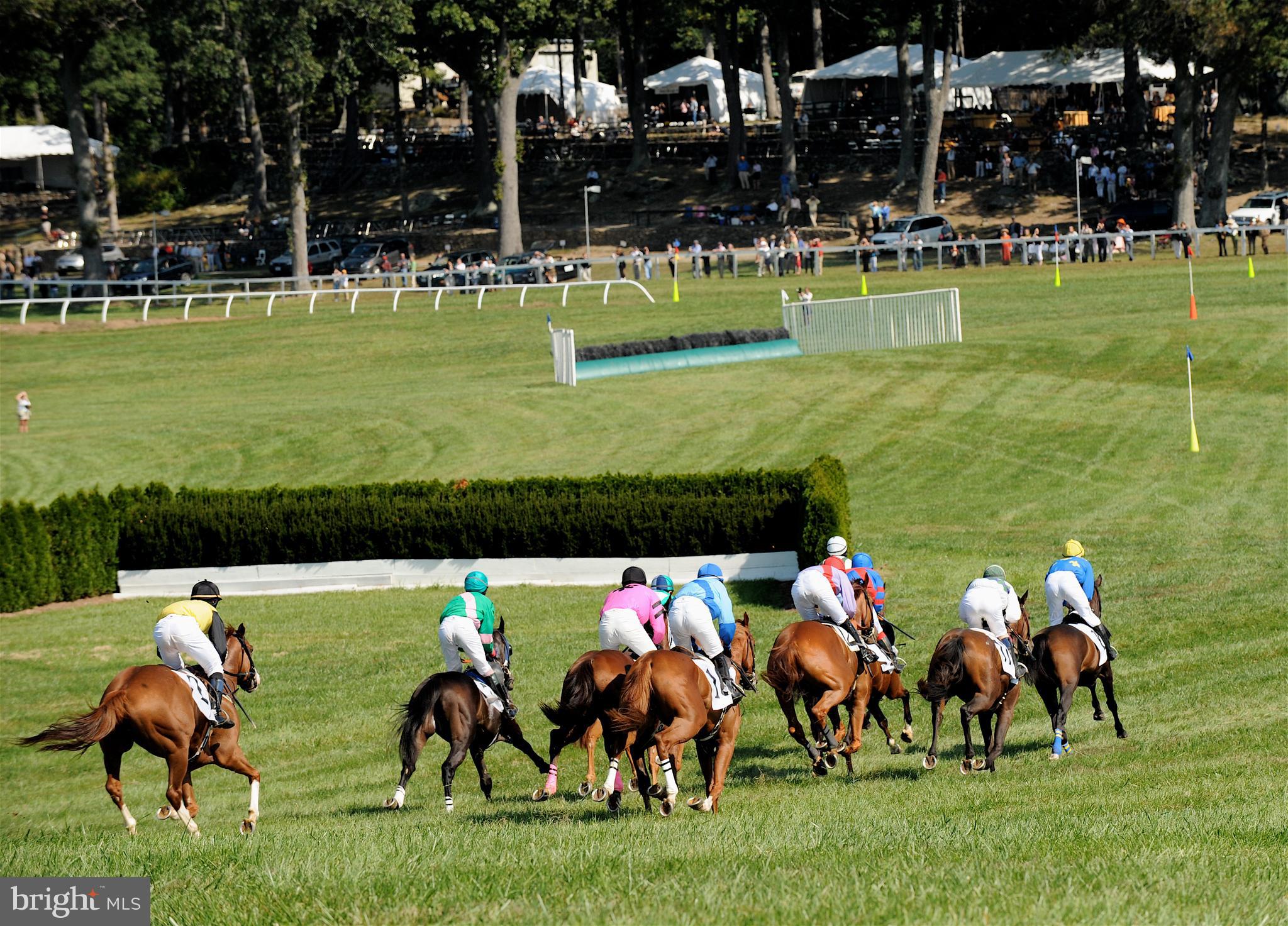 20532 Trappe Road Upperville, VA 20184 - Photo 61 of 63 Enjoy the racing action at Glenwood Park
