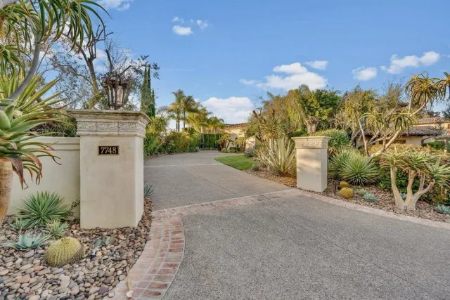 a view of a white house with a potted plant and a large tree