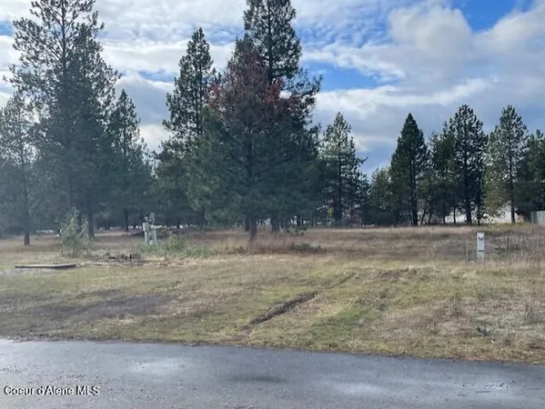 $700,000 | 29269 North Old Highway 95, Athol, ID 83801