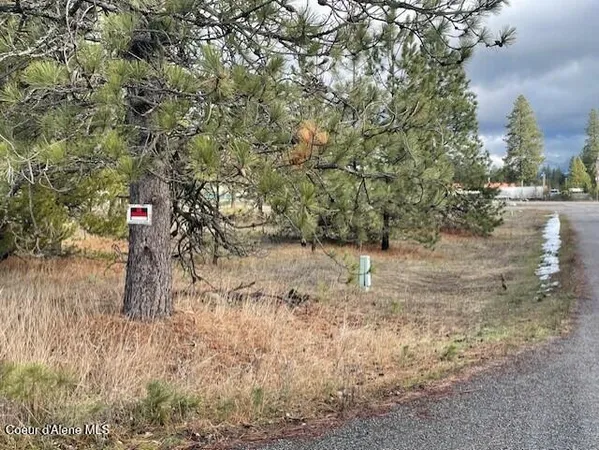$700,000 | 29269 North Old Highway 95, Athol, ID 83801
