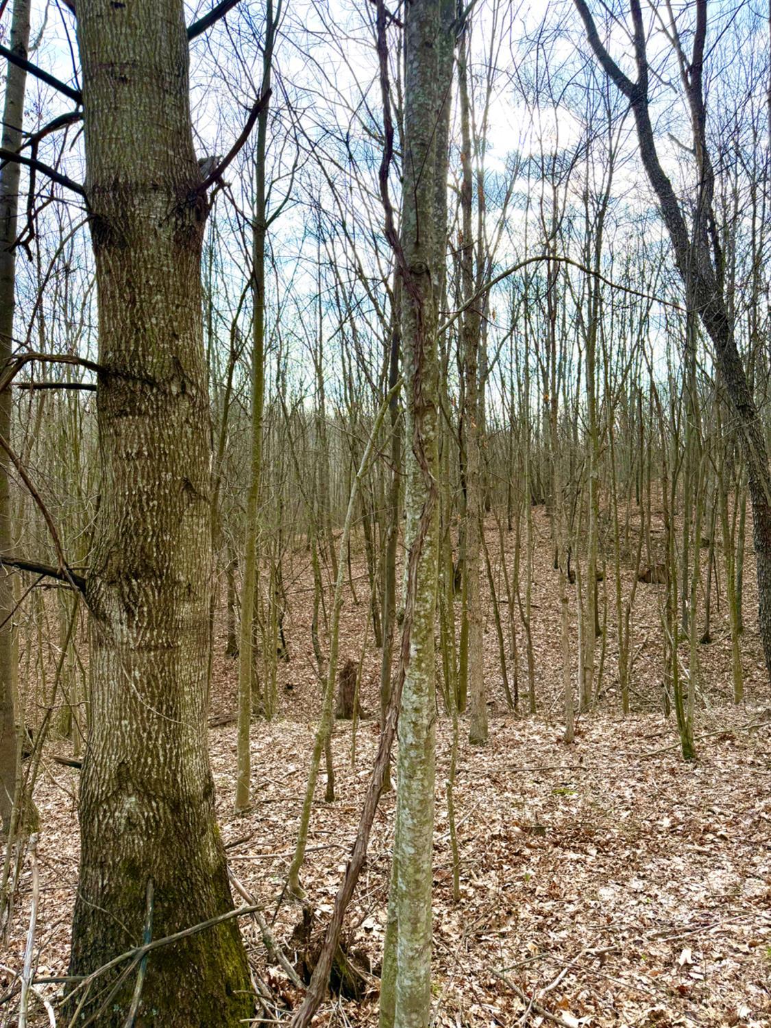 0 Fyffe Hollow Road Chillicothe, OH 45601 - Photo 89 of 96