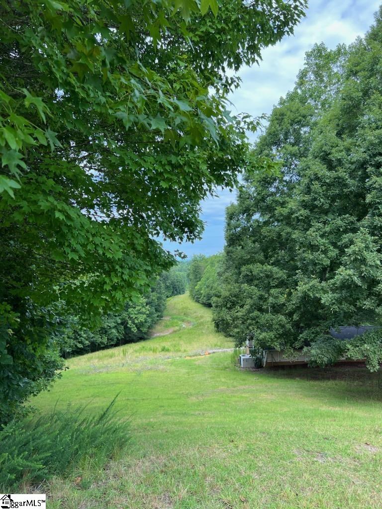 139 Pleasant Retreat Road Travelers Rest, SC 29690 - Photo 20 of 32
