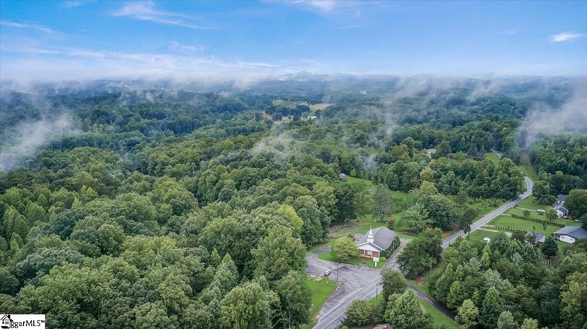 139 Pleasant Retreat Road Travelers Rest, SC 29690 - Photo 3 of 32