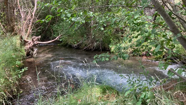 $575,000 | 12739 Sugar Loaf Lane, Old Station, CA 96071