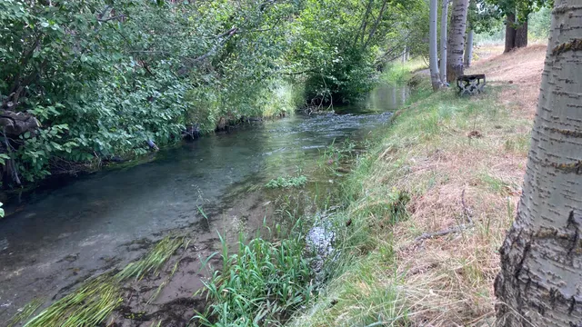 $575,000 | 12739 Sugar Loaf Lane, Old Station, CA 96071