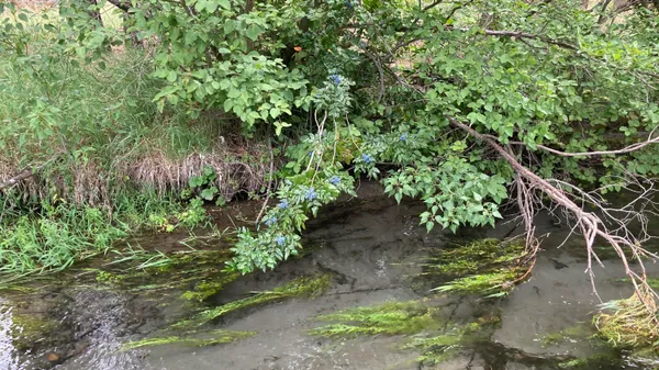 $534,000 | 12739 Sugar Loaf Lane, Old Station, CA 96071