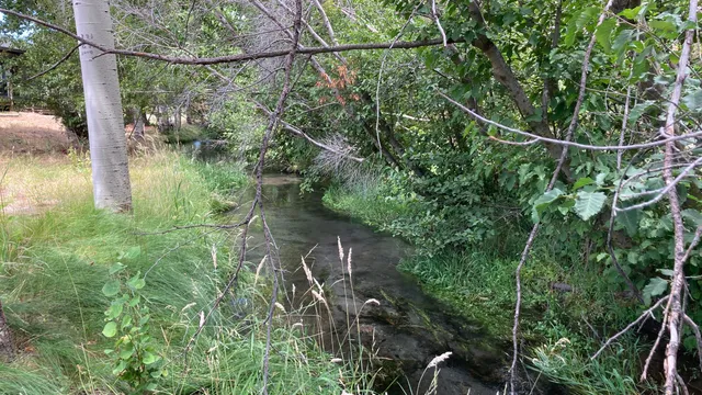 $575,000 | 12739 Sugar Loaf Lane, Old Station, CA 96071