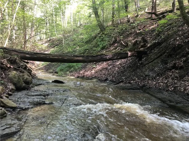 $479,000 | 5184 Foster Road, Canandaigua Town, NY 14424