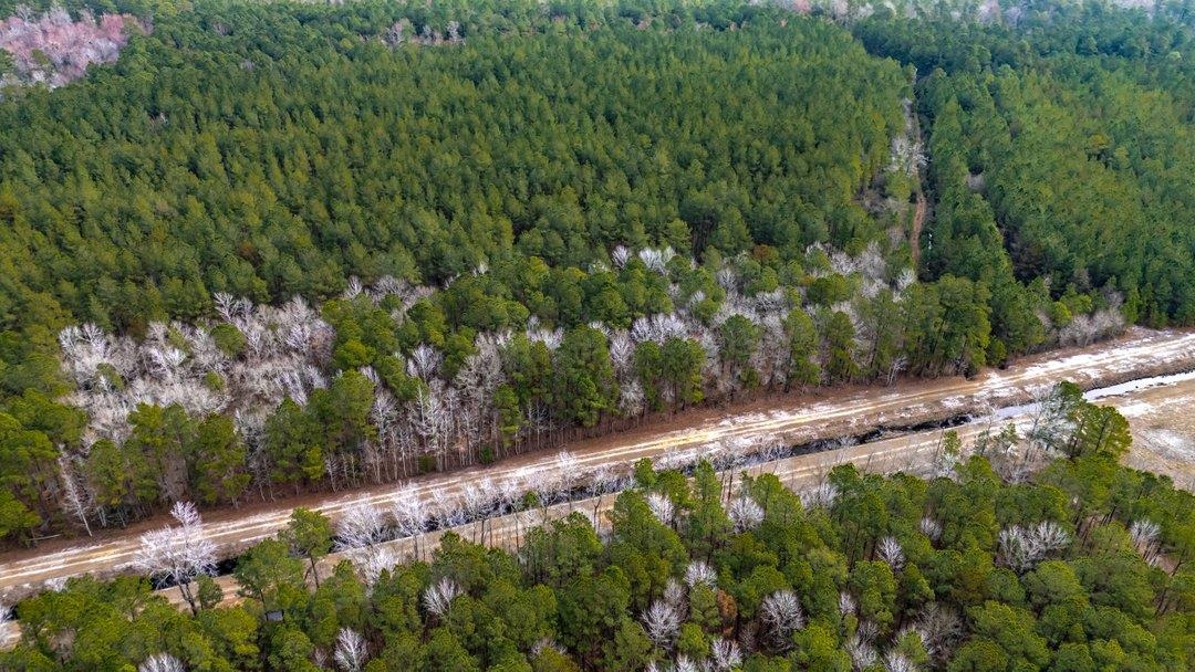 9060 State Rd S-26-266 Nichols, SC 29581 - Photo 11 of 18