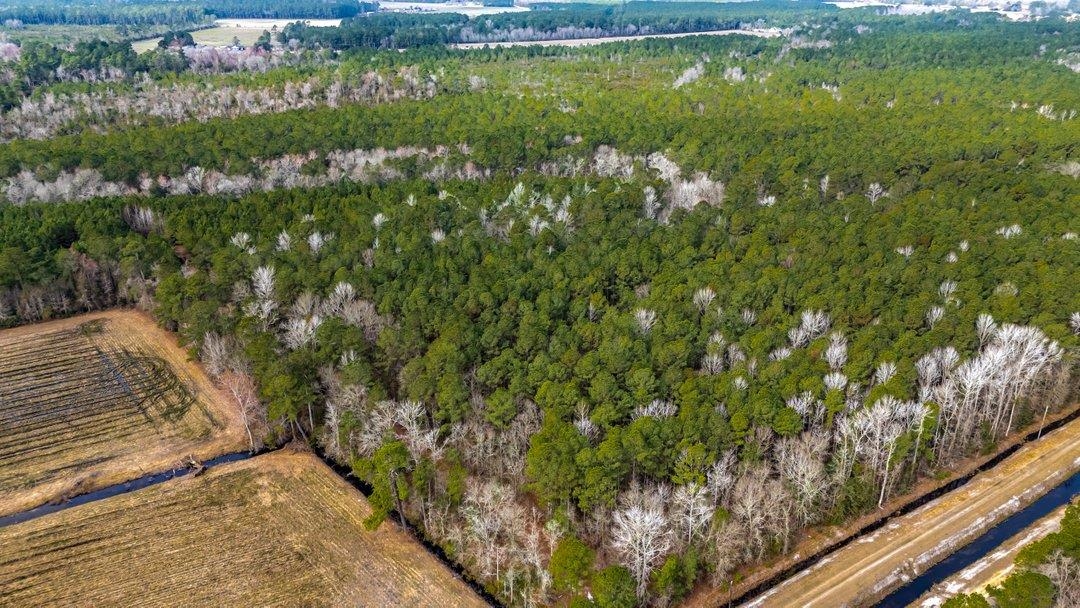 9060 State Rd S-26-266 Nichols, SC 29581 - Photo 12 of 18