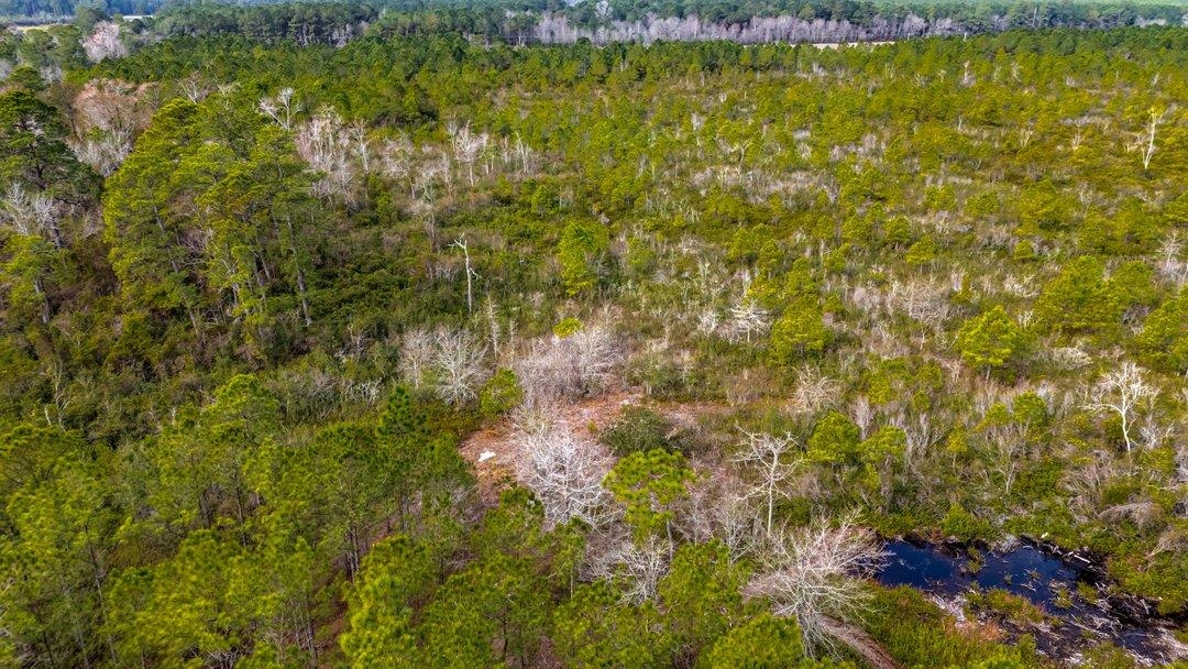 9060 State Rd S-26-266 Nichols, SC 29581 - Photo 15 of 18
