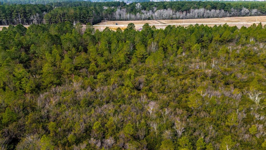 9060 State Rd S-26-266 Nichols, SC 29581 - Photo 16 of 18
