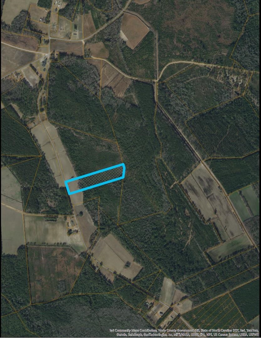 9060 State Rd S-26-266 Nichols, SC 29581 - Photo 2 of 18