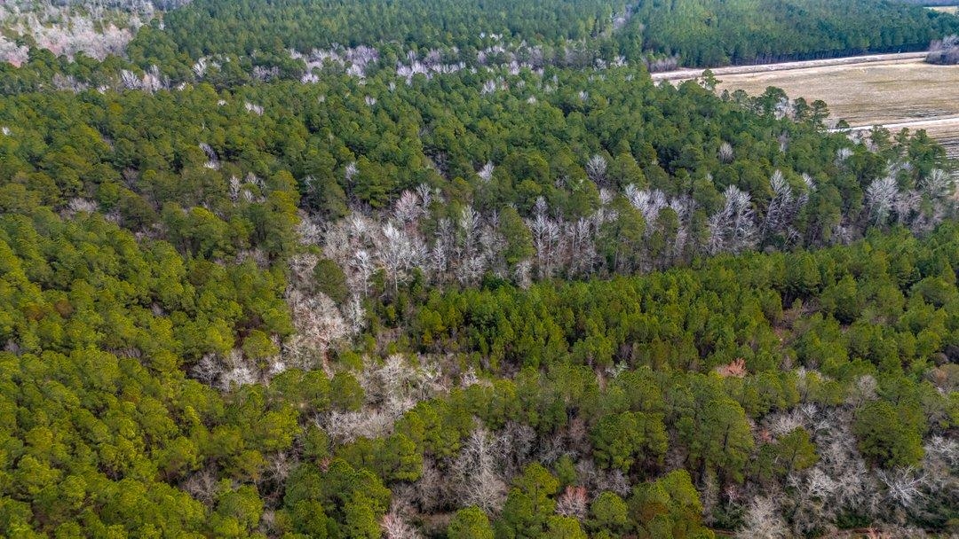9060 State Rd S-26-266 Nichols, SC 29581 - Photo 9 of 18