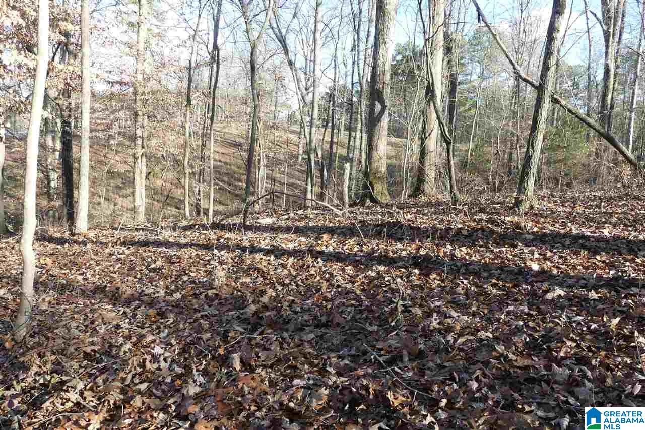Lot 1 A Red Barn Road, Unit 1A Wedowee, AL 36278 - Photo 6 of 8