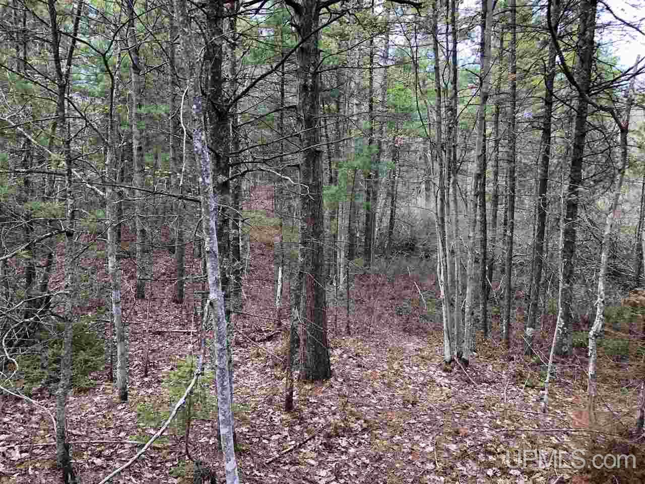 Tbd South Michigan Shores Road Gulliver, MI 49840 - Photo 7 of 7 Gallery Image 7