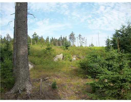 9 Jericho Bay Road Swans Island, ME 04685 - Photo 5 of 6 Land.