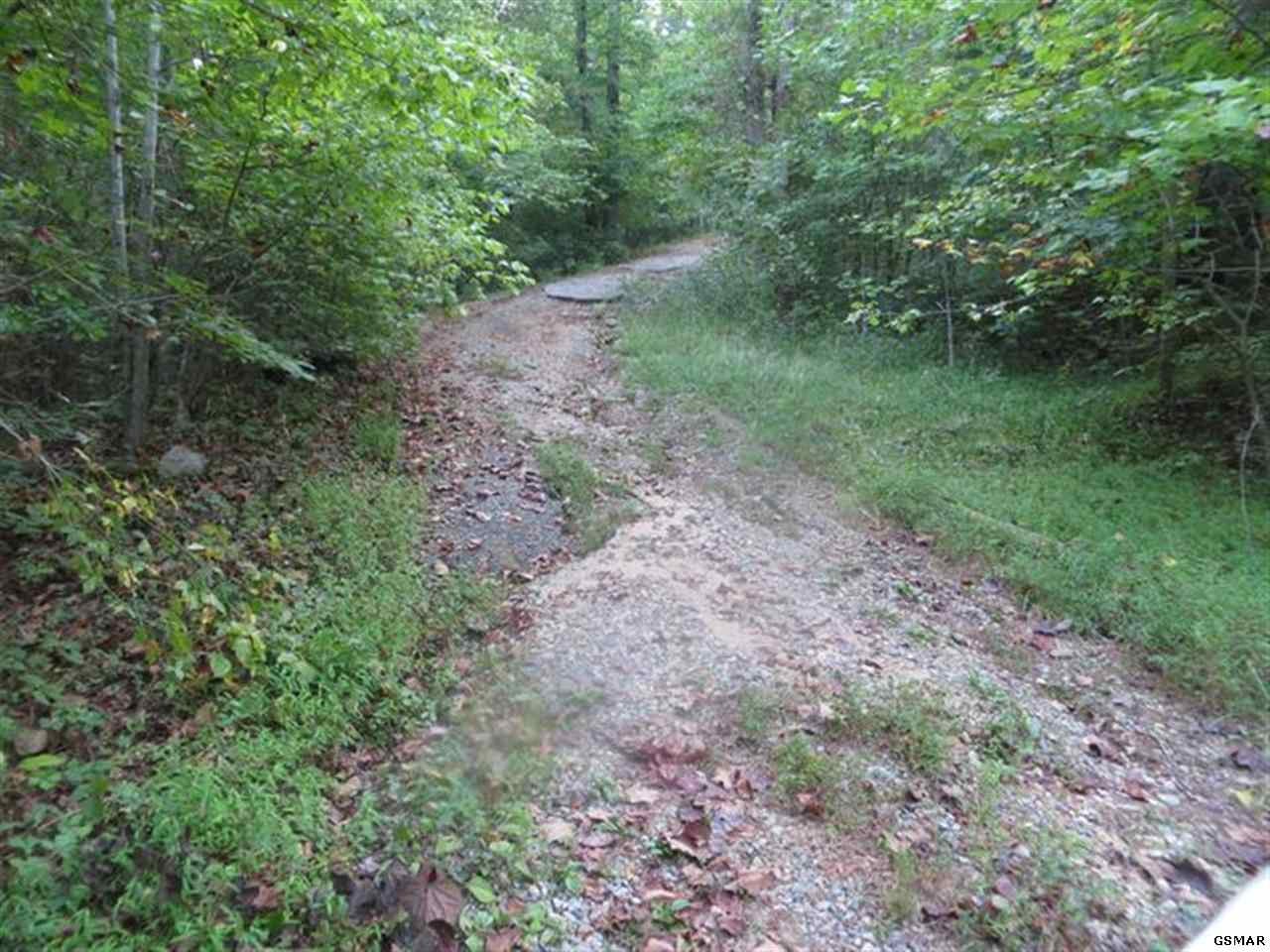4340 Douglas Dam Road Kodak, TN 37764 - Photo 1 of 1 Gallery Image 1