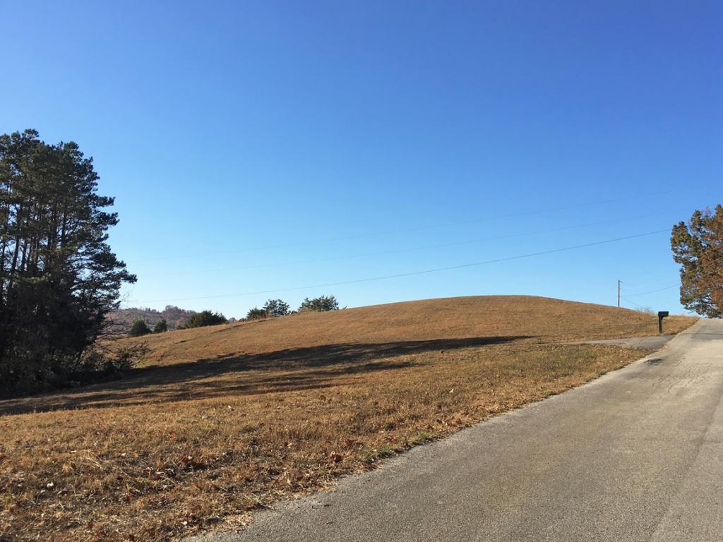 12 R Alberts Cove, Unit 12R Rutledge, TN 37861 - Photo 8 of 12 Photo 8