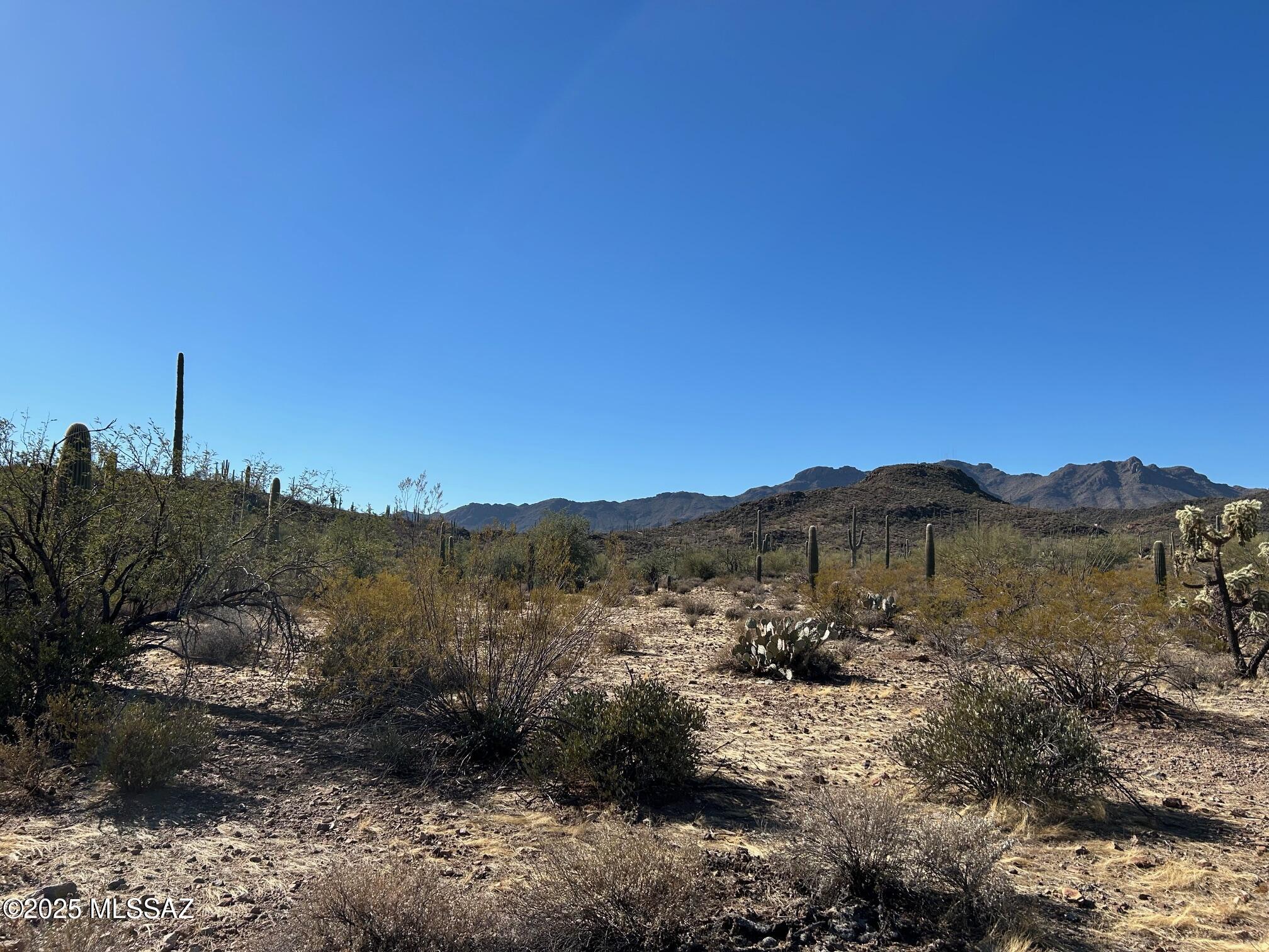 4146 North Gerhart Road Tucson, AZ 85745 - Photo 7 of 18 Gallery Image 7