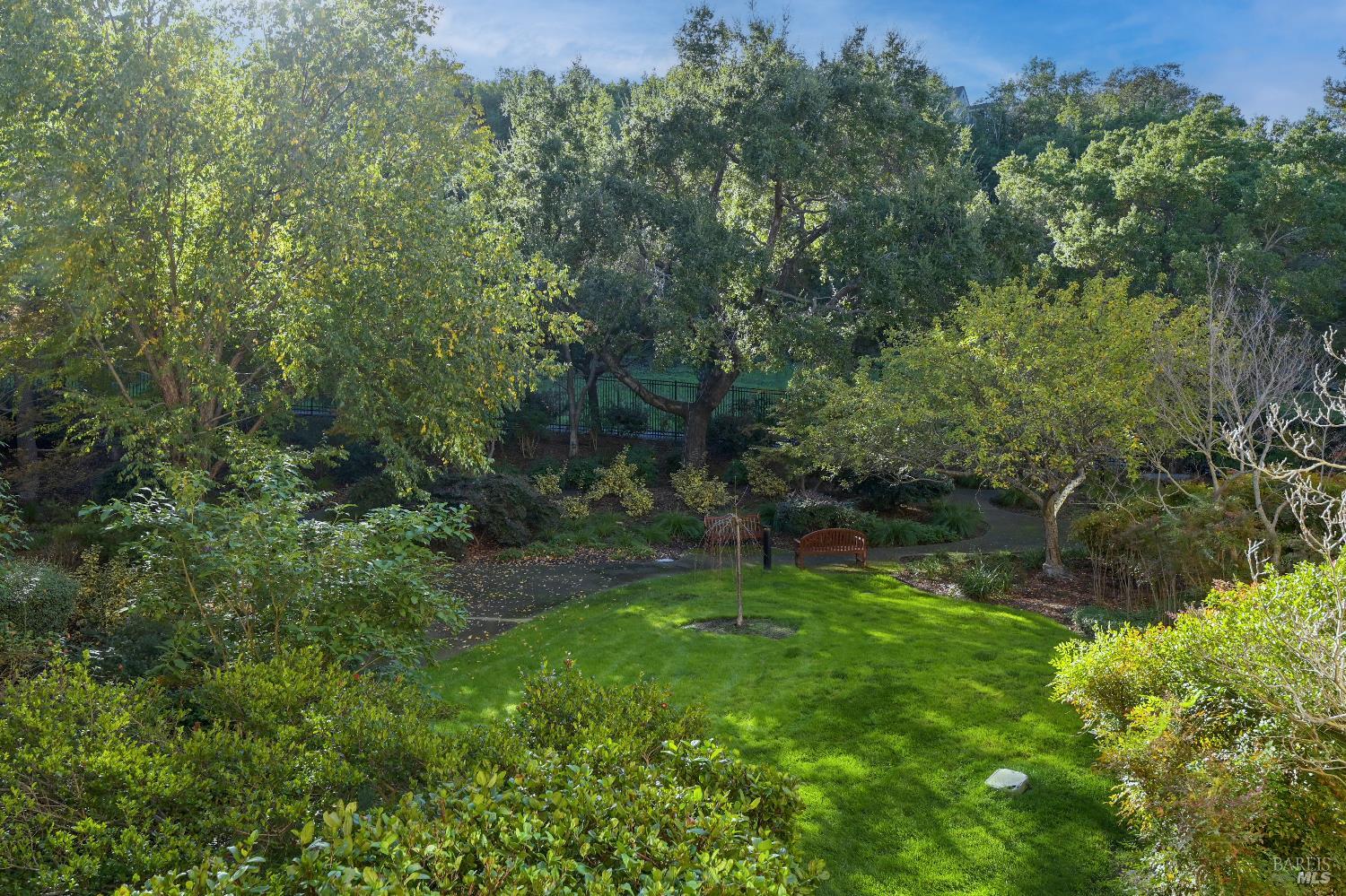 400 Deer Valley Road, Unit 3K San Rafael, CA 94903 - Photo 17 of 24 a big yard with lots of green space and plants