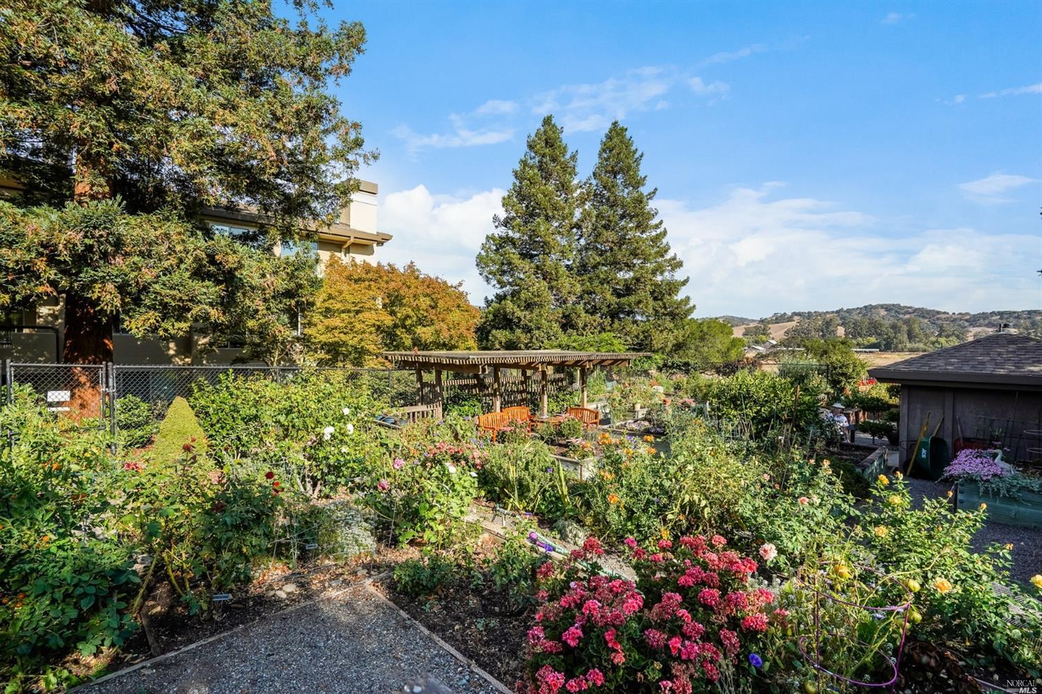 400 Deer Valley Road, Unit 3K San Rafael, CA 94903 - Photo 18 of 24 a view of a garden with plants