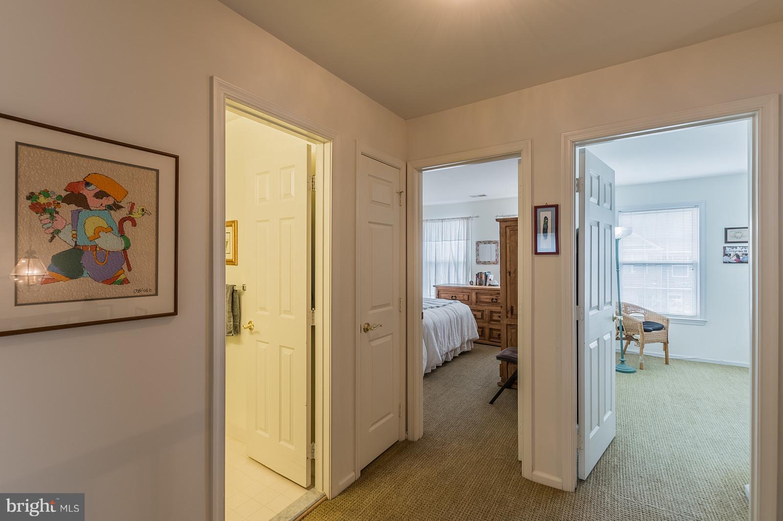 20672 Riptide Square Sterling, VA 20165 - Photo 14 of 30 Sizable Hallway Upstairs