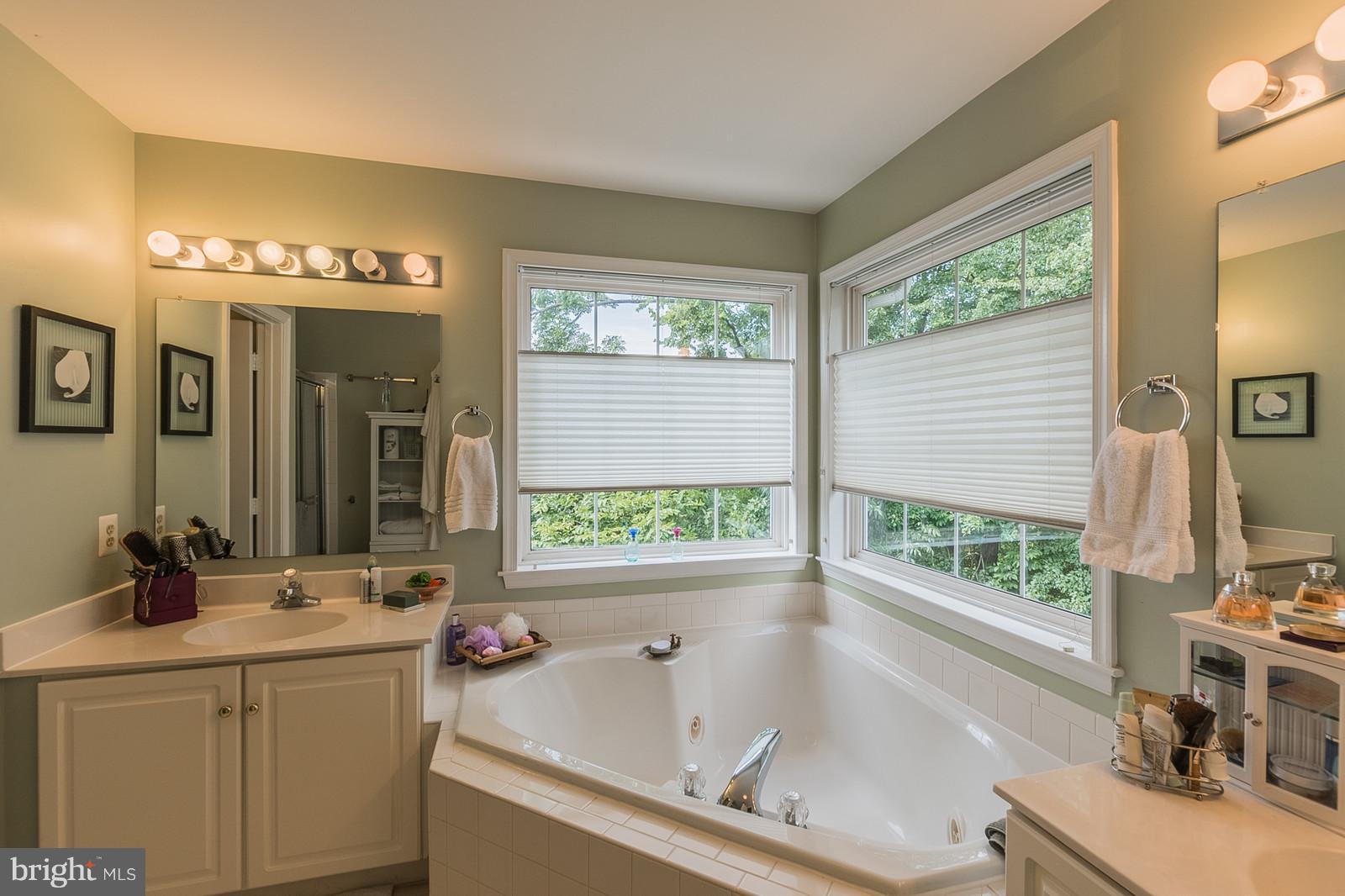 20672 Riptide Square Sterling, VA 20165 - Photo 17 of 30 Owners Bath w/ Separate Soaker and Shower