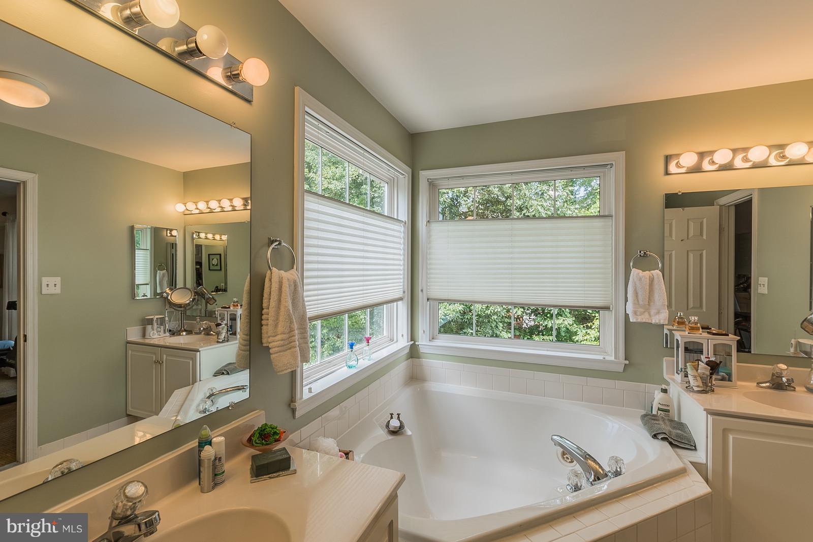 20672 Riptide Square Sterling, VA 20165 - Photo 18 of 30 Owners Bath with Double Vanity
