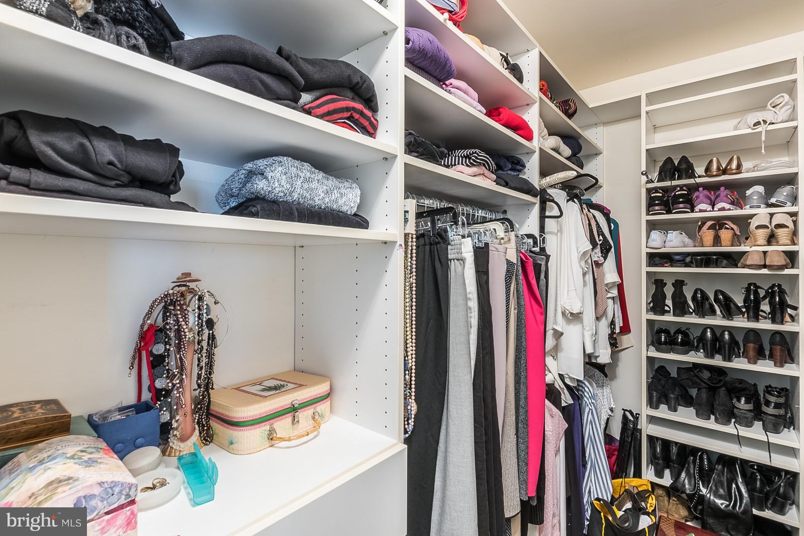20672 Riptide Square Sterling, VA 20165 - Photo 19 of 30 Walk-In Closet with Organizers