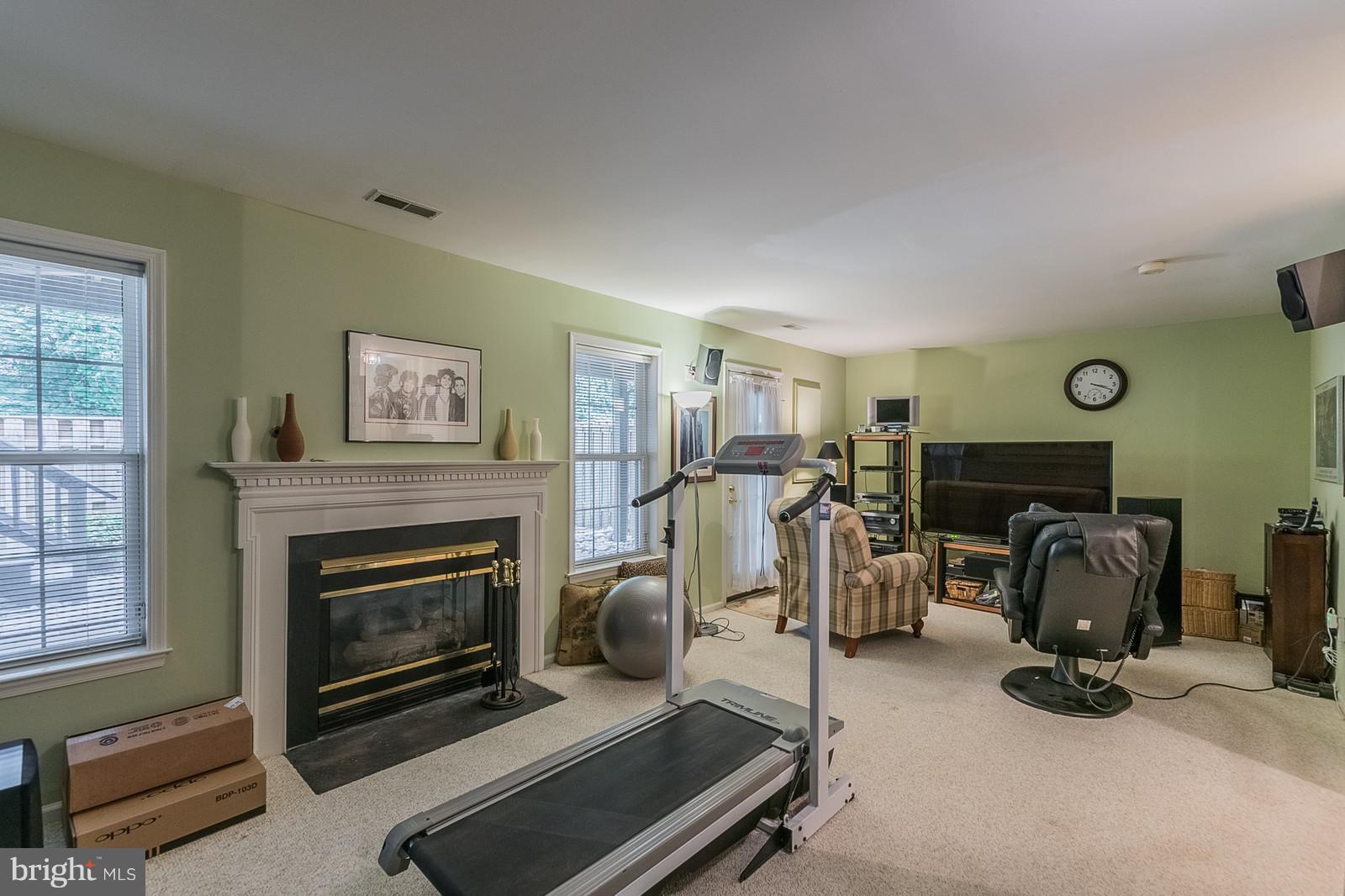 20672 Riptide Square Sterling, VA 20165 - Photo 24 of 30 Lower Level with 2nd Gas Fireplace & Walk Out