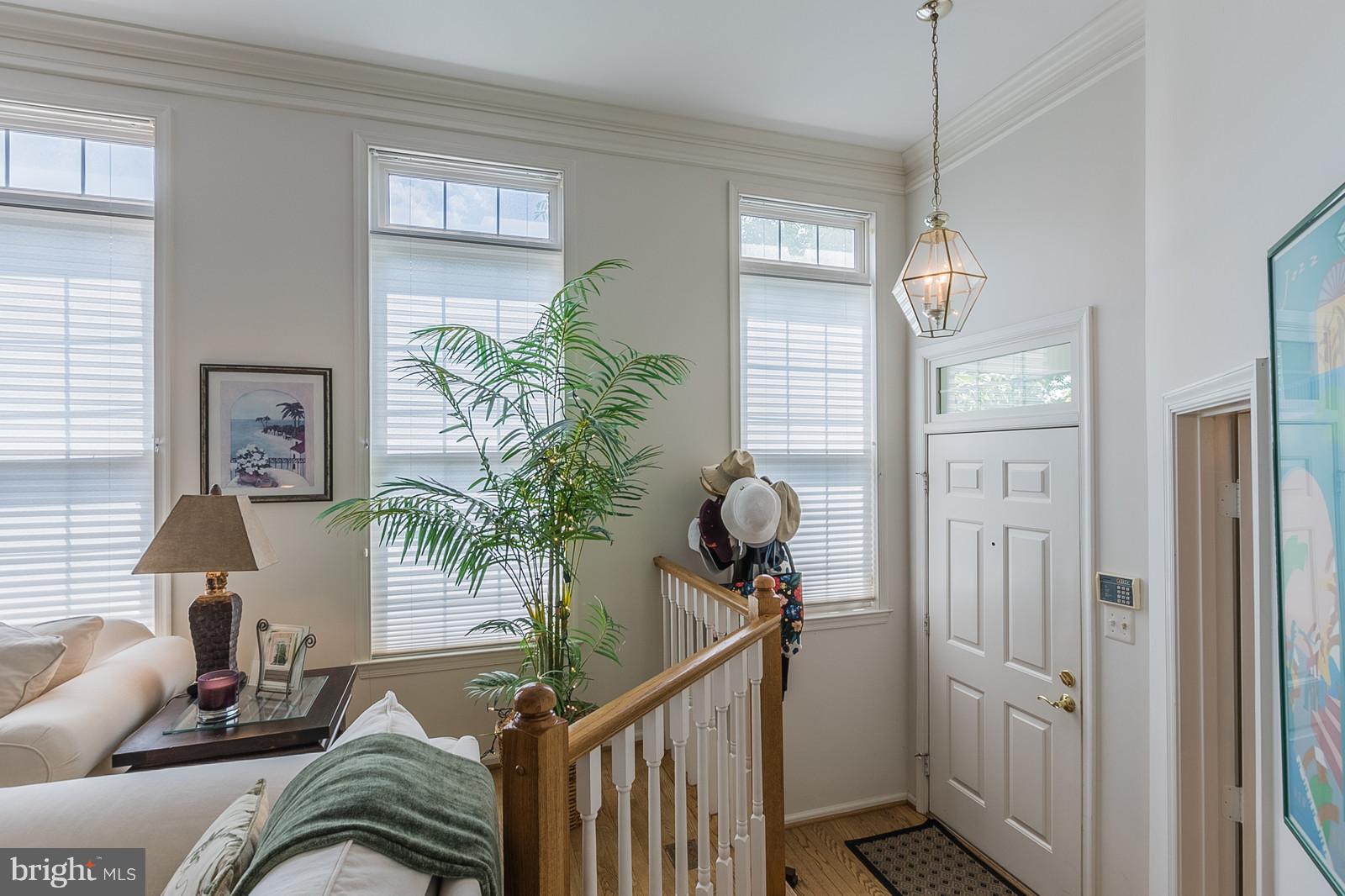 20672 Riptide Square Sterling, VA 20165 - Photo 6 of 30 Sunken Foyer to Elegant Living Room
