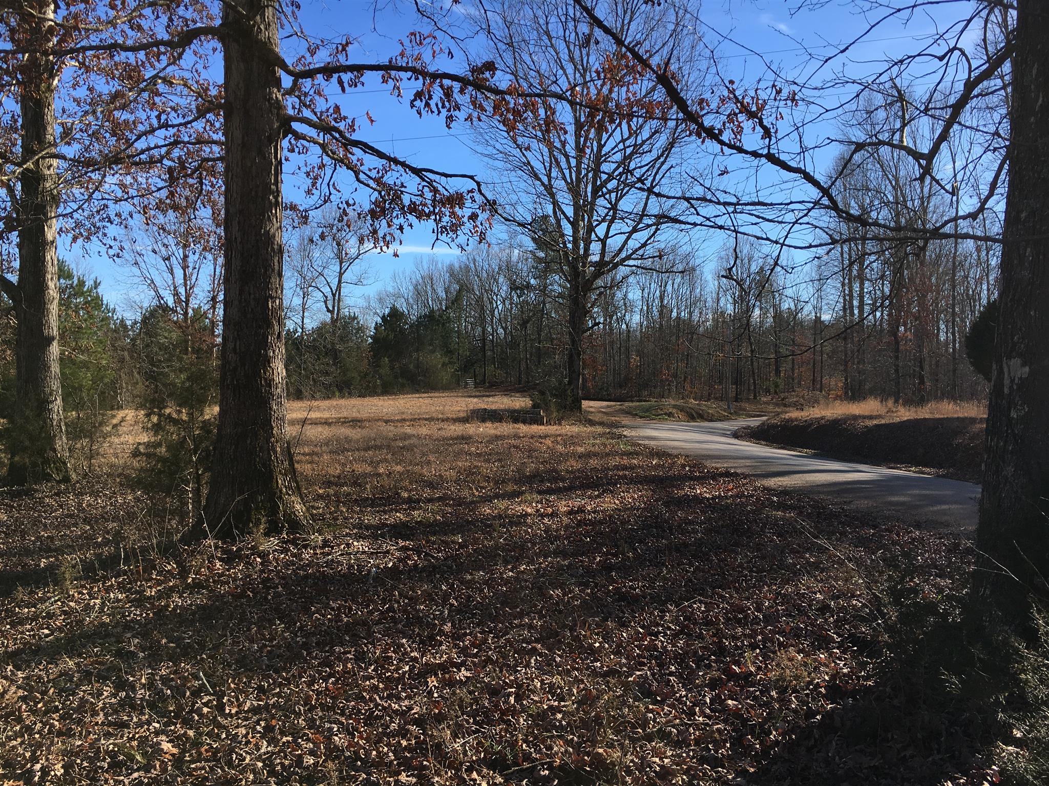 435 South Ore Road Westpoint, TN 38486 - Photo 1 of 14 a view of outdoor space with green space