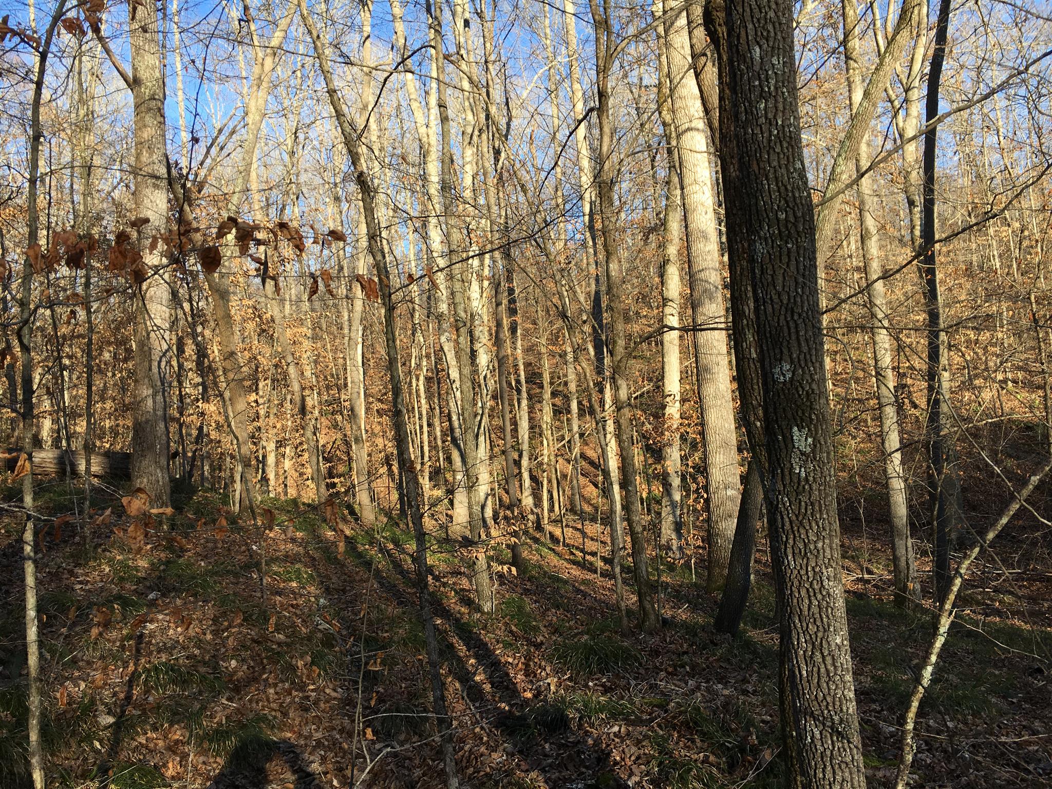 435 South Ore Road Westpoint, TN 38486 - Photo 14 of 14