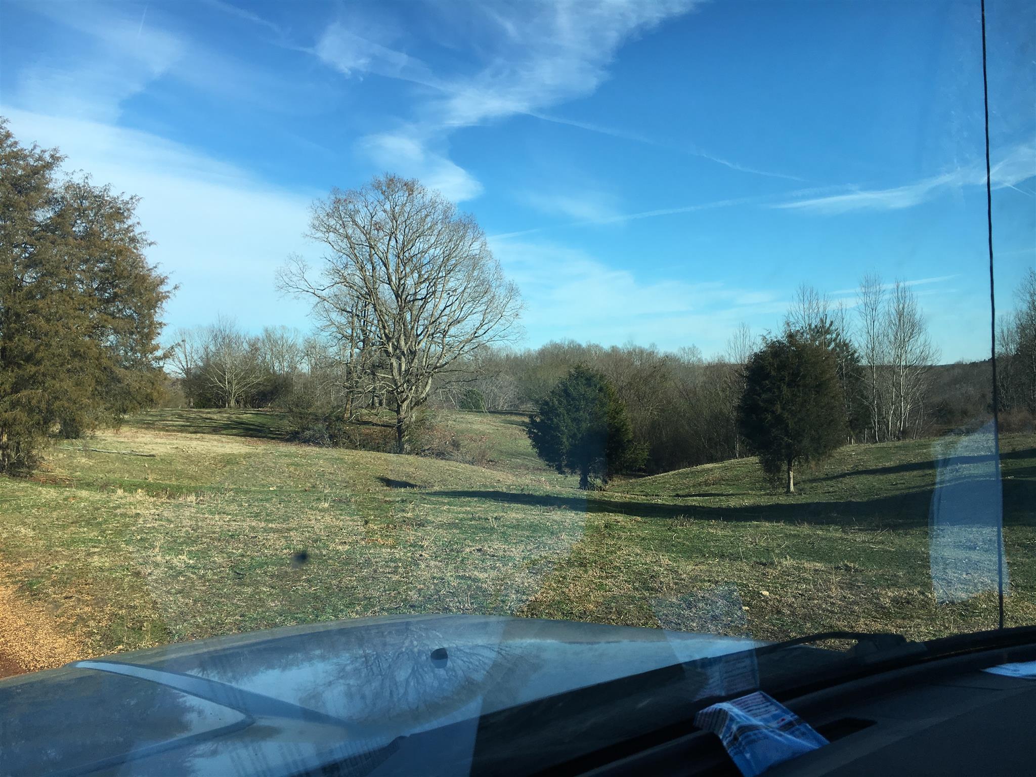435 South Ore Road Westpoint, TN 38486 - Photo 10 of 14 a view of a yard with an trees
