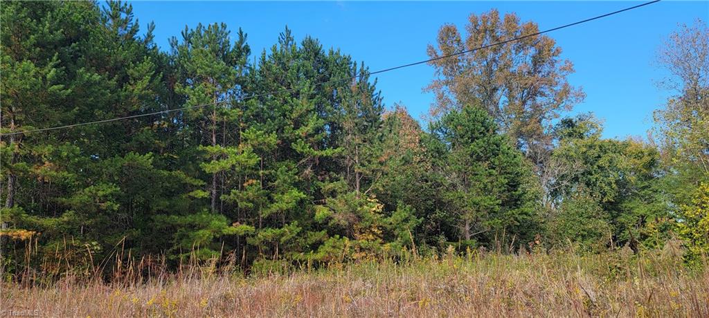 0 Lake Road Thomasville, NC 27360 - Photo 2 of 2 Gallery Image 2