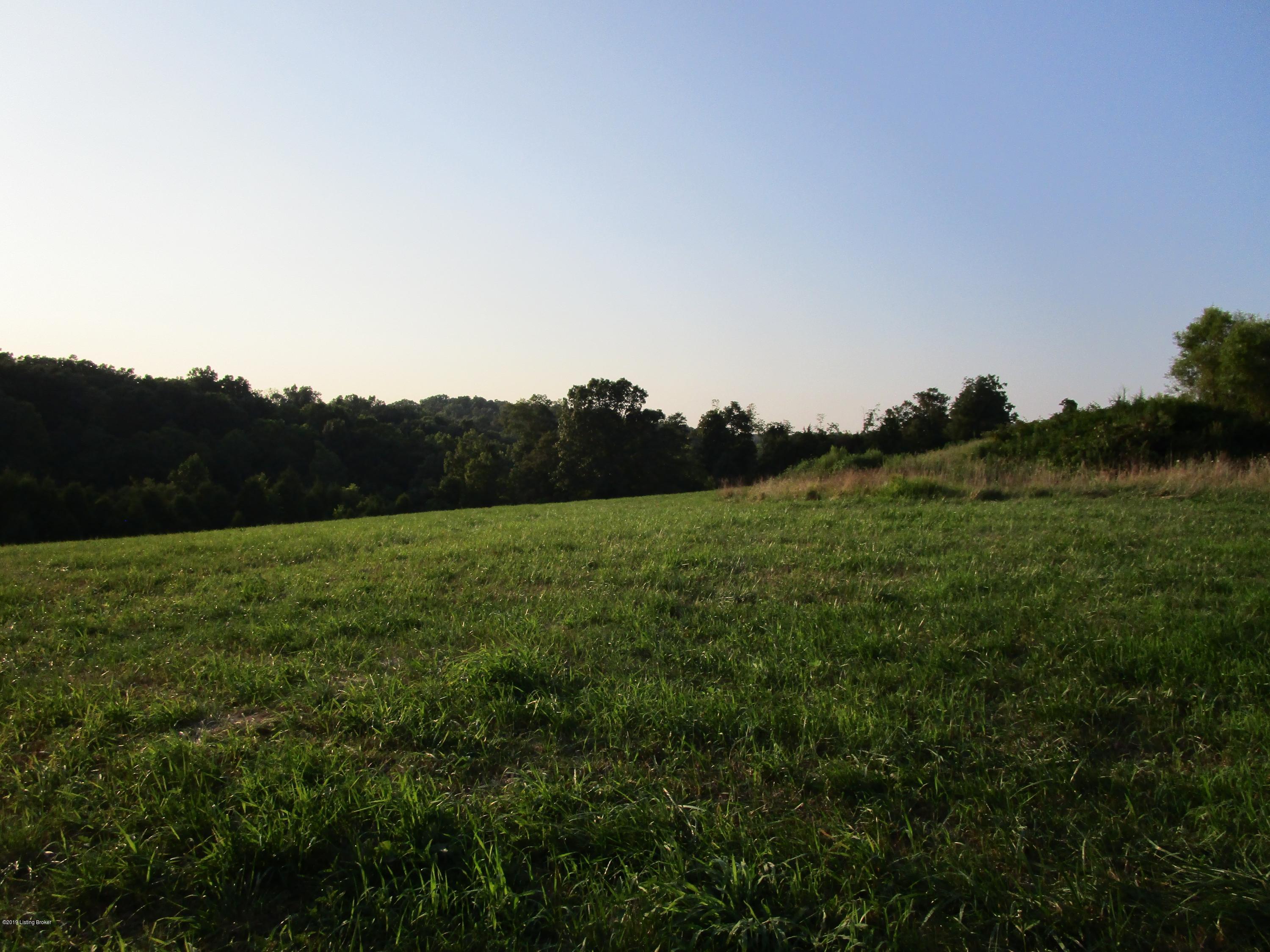 1171 Post-Hopewell Road Caneyville, KY 42721 - Photo 28 of 55 IMG_0164