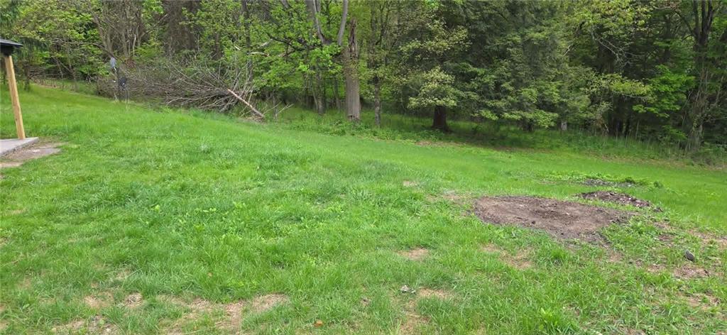 132 Cherry Tree Road Grindstone, PA 15442 - Photo 45 of 46