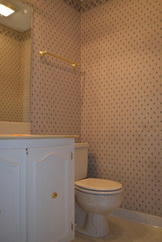 116 Springlakes Circle Martinez, GA 30907 - Photo 8 of 18 Gallery Image 8