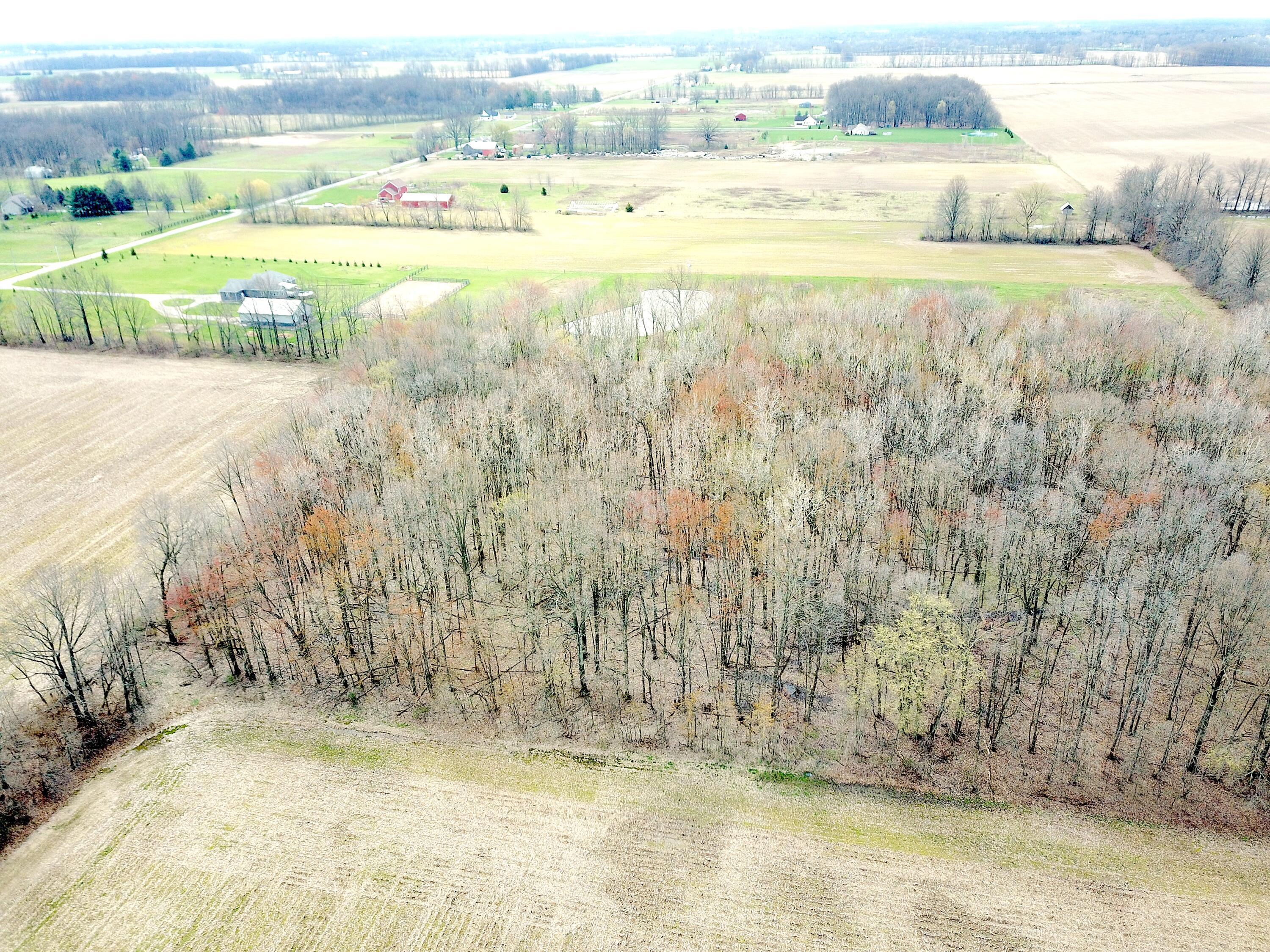 0 Carr Road Ostrander, OH 43061 - Photo 14 of 24 DJI_0986