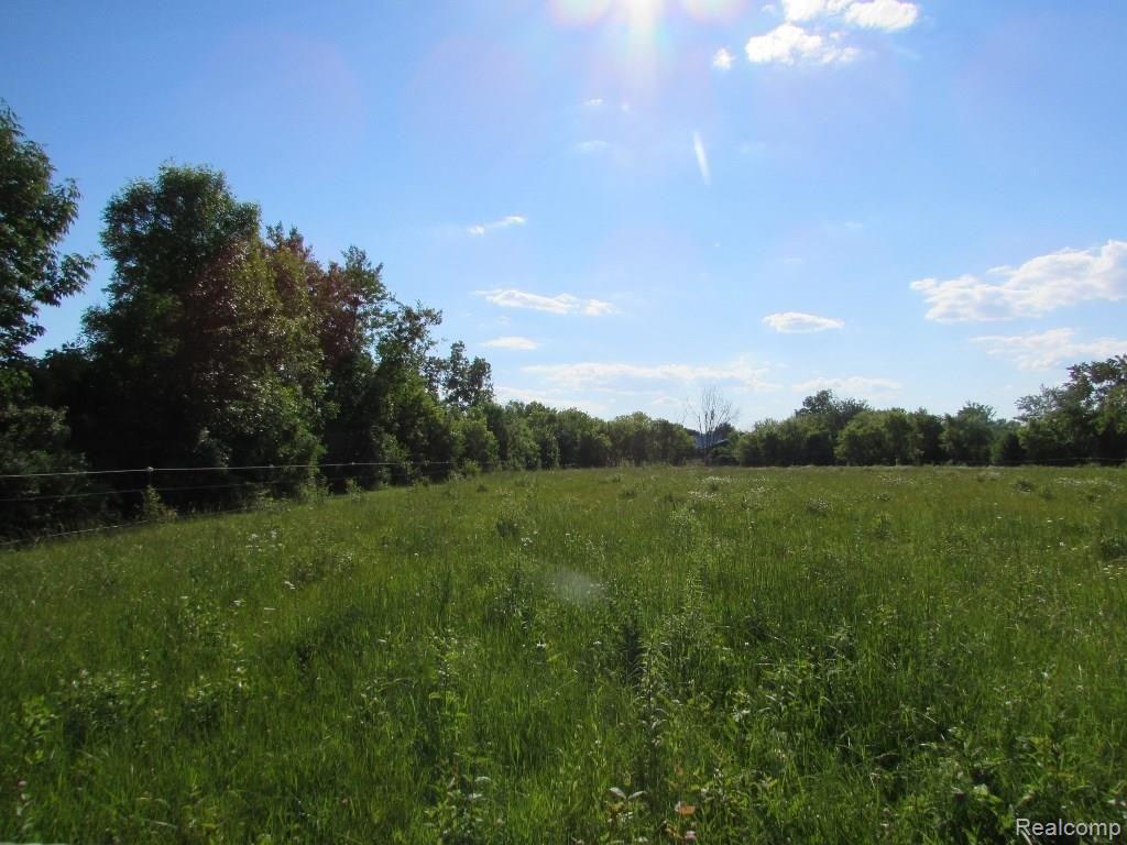 4305 South Genesee Road Grand Blanc, MI 48439 - Photo 53 of 59 Gallery Image 53