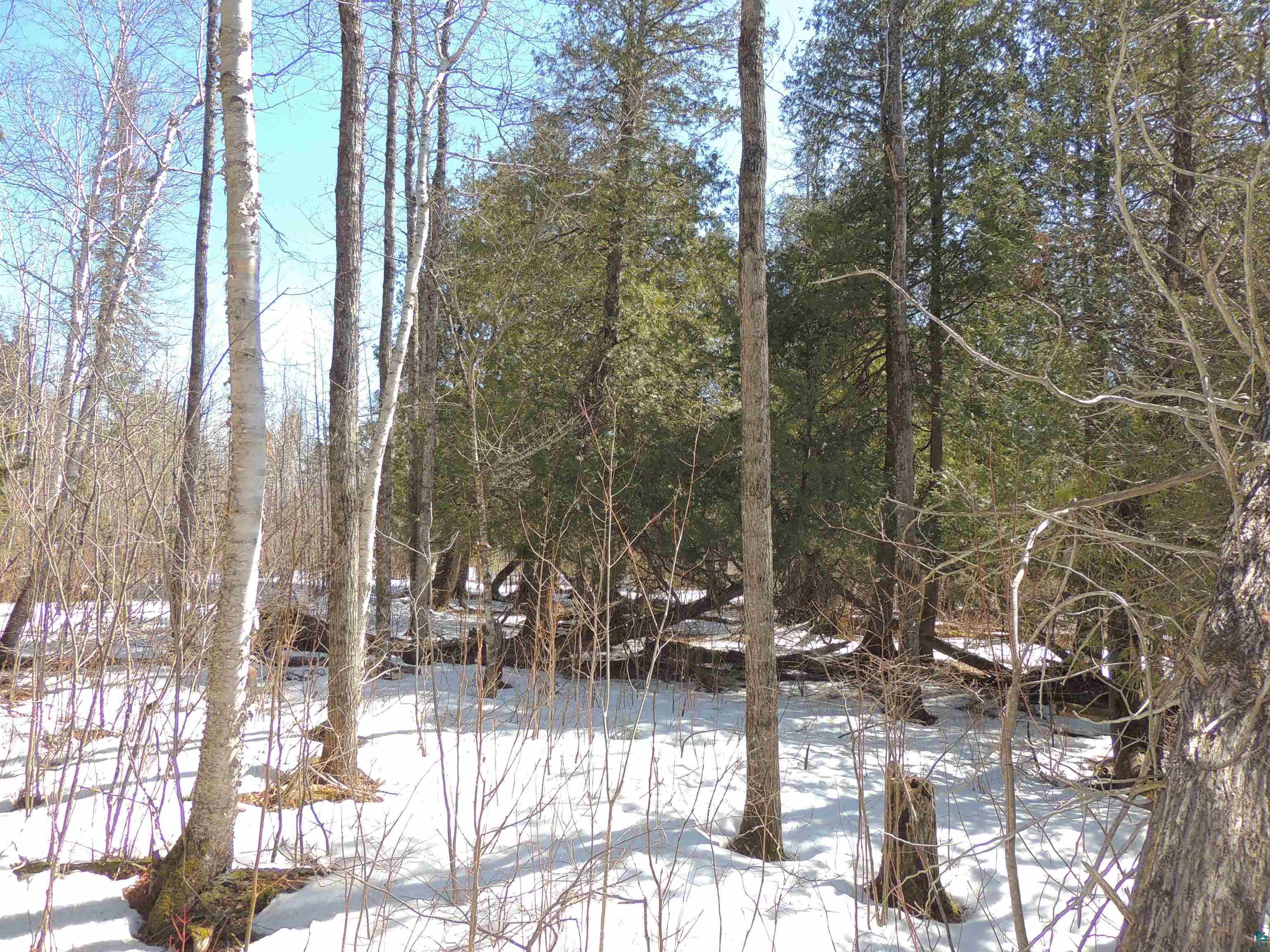 X30 Isak Ridge Lutsen, MN 55612 - Photo 22 of 28