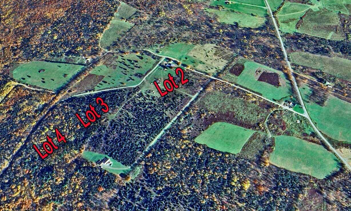Lot 37-1 Schillinger Road Danforth, ME 04424 - Photo 6 of 17 me-land-schillinger-lots