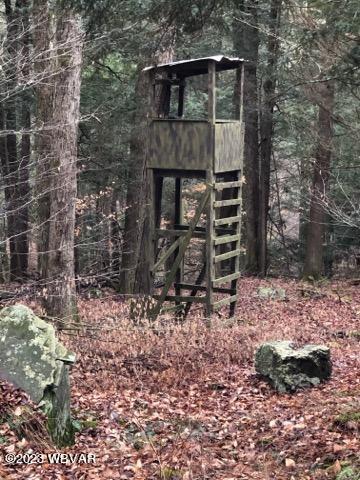 0 Wallis Run Road Trout Run, PA 17771 - Photo 7 of 10 Gallery Image 7