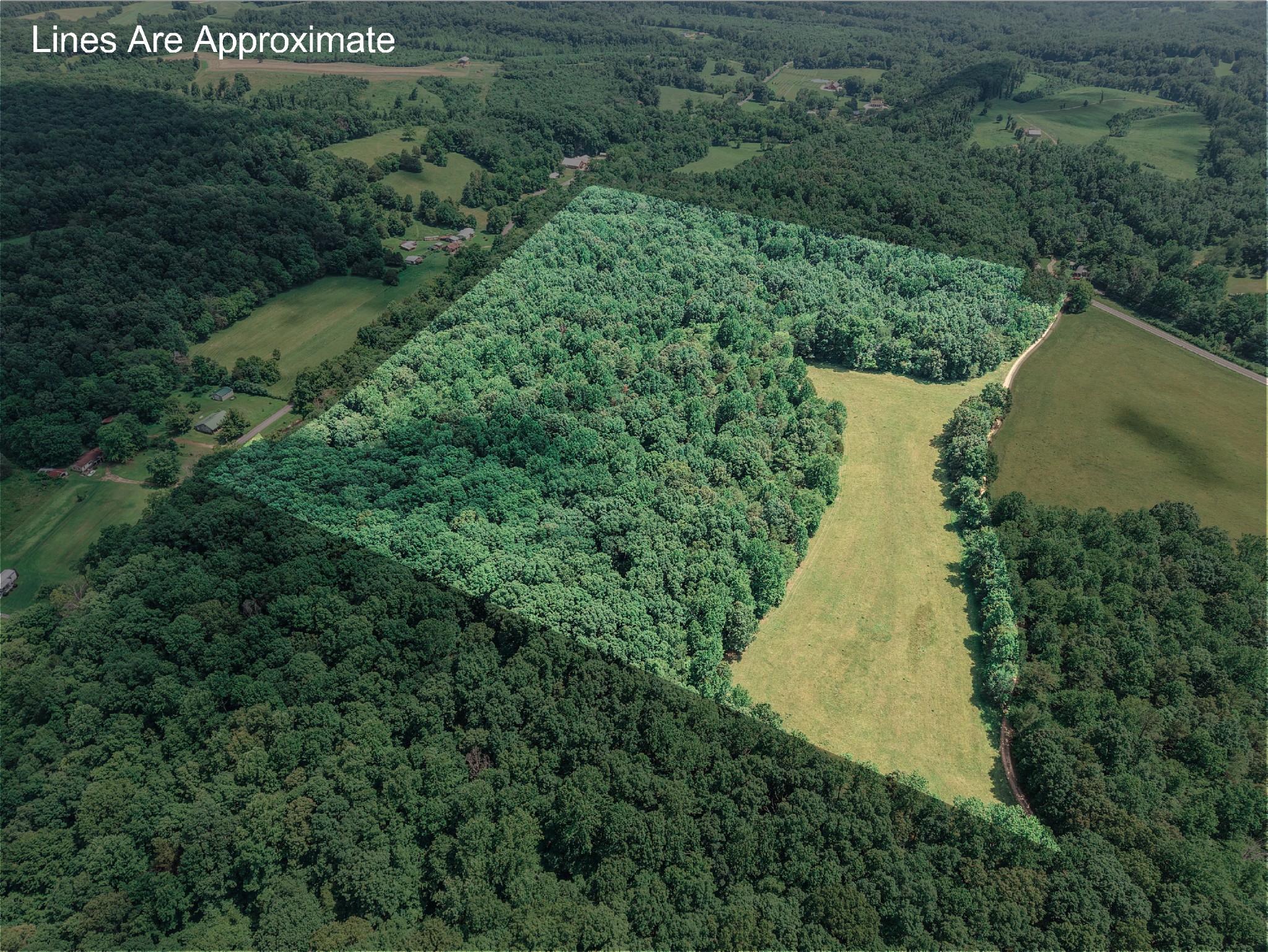 215 Clear Creek Road Leoma, TN 38468 - Photo 11 of 13