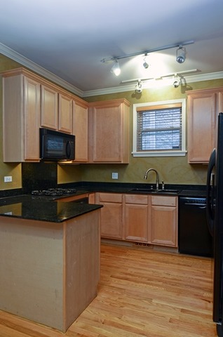 1319 West Fillmore Street, Unit A Chicago, IL 60607 - Photo 4 of 10