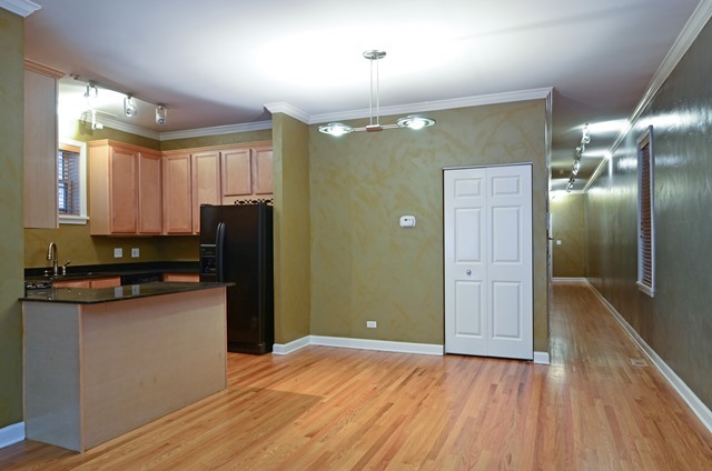 1319 West Fillmore Street, Unit A Chicago, IL 60607 - Photo 6 of 10